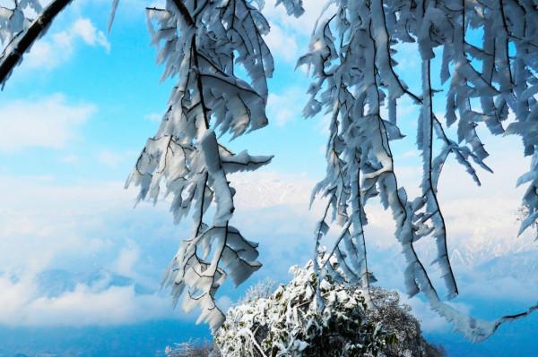 在家觀冬奧 聯想冰雪記憶