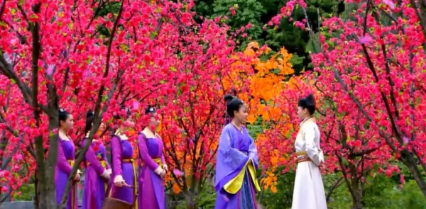 這令人窒息的審美，影視劇裡的大膽配色，只要你敢想，導演就敢配