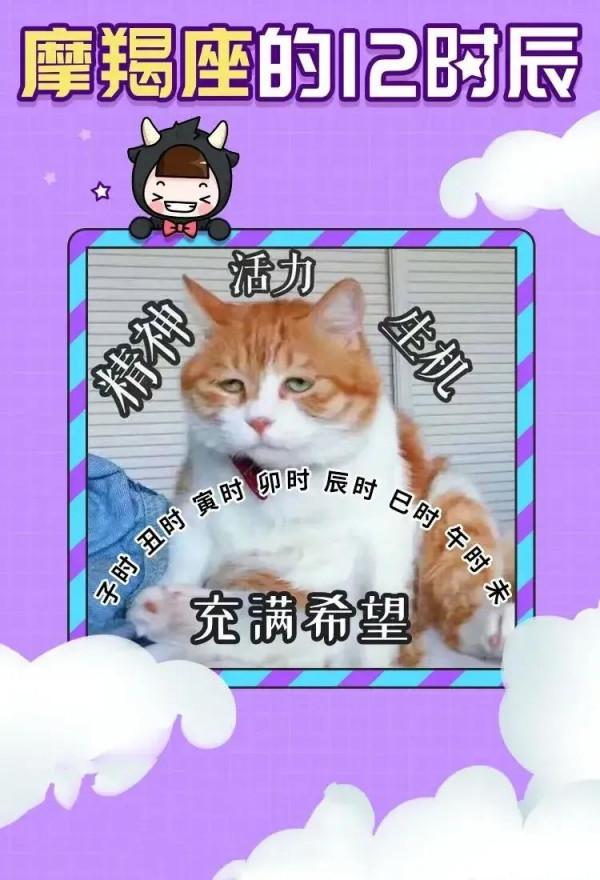 十二星座的十二時辰都在幹什麼？