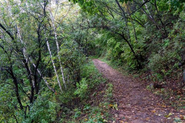 雨中喇叭溝門原始森林公園一日遊