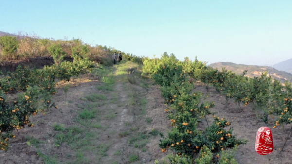 湖南沙洲村：一座因善而美的小山村