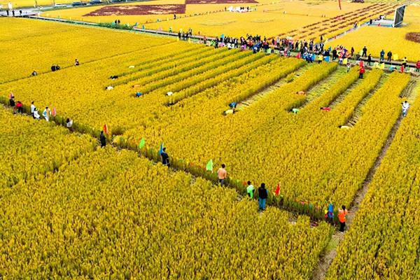 長三角這9條美麗鄉村休閒旅遊行（秋季）路線，你走過幾條？