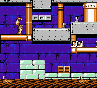 紅白機《松鼠大戰》比鬼屋更恐怖的隱藏房間，解謎曾困死無數玩家