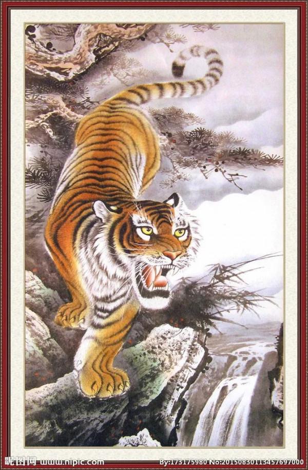 收藏老虎圖