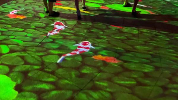 太湖,亮燈! 太湖,亮燈!