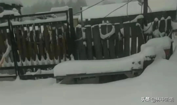 半日酸菜豬肉燉粉條!暴雪即將封山,山東女婿難捨的東北情結 半日酸菜豬肉燉粉條!暴雪即將封山,山東女婿難捨的東北情結