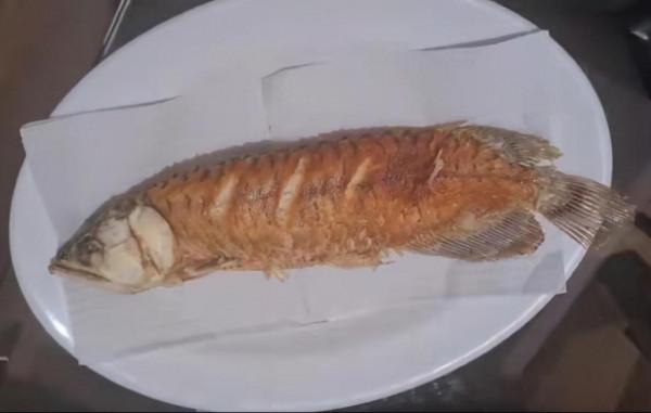 懶人丈夫不肯清洗魚缸，妻子怒把“超貴紅龍魚”當晚餐