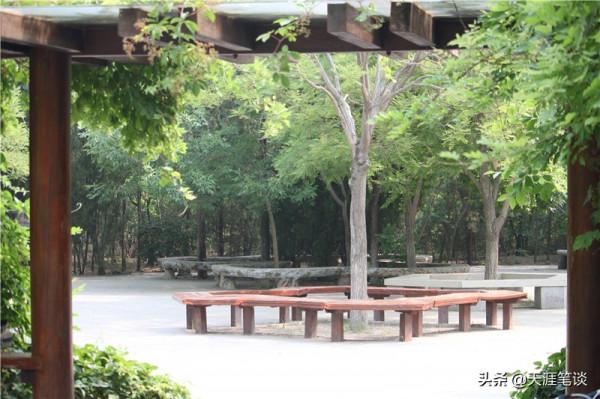 塘沽免費公園值得遊，順其自然地體驗，領略不一樣風景
