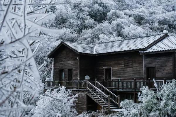 哲思｜望梅傲雪，靜待花開