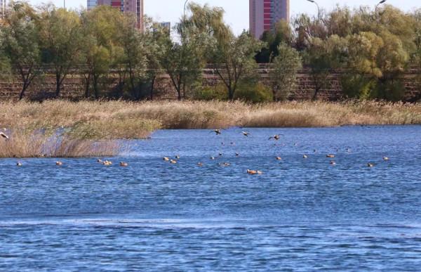 今日北京美圖大賞