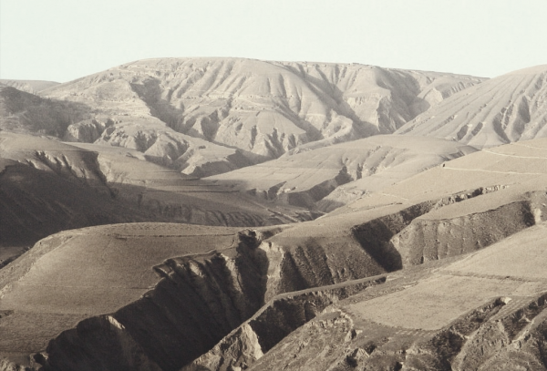 插隊的時候遇到野狼，驢被嚇瘋了，棄主而逃，一把銅鑼救了我的命