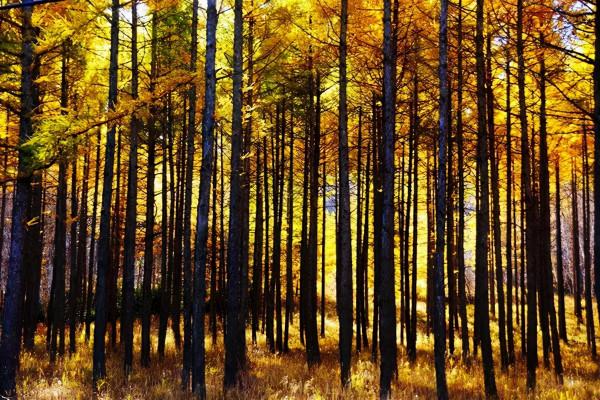 9月,這10個地方藏著中國最美景色!千萬別錯過了 9月,這10個地方藏著中國最美景色!千萬別錯過了