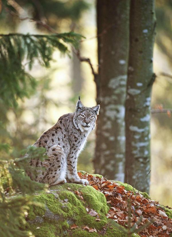 請欣賞美麗瞬間