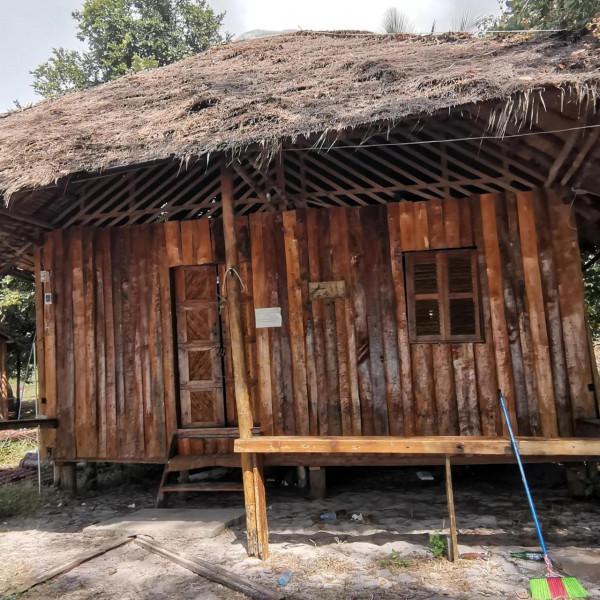 tree house bungalow 巢居（樹屋）：構木為巢，構造來源