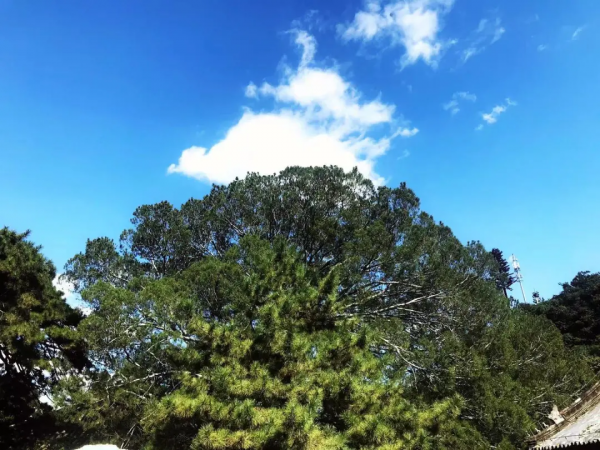 初秋到戒臺寺尋覓禪境，還有佛教最高等級的戒壇可以參觀~