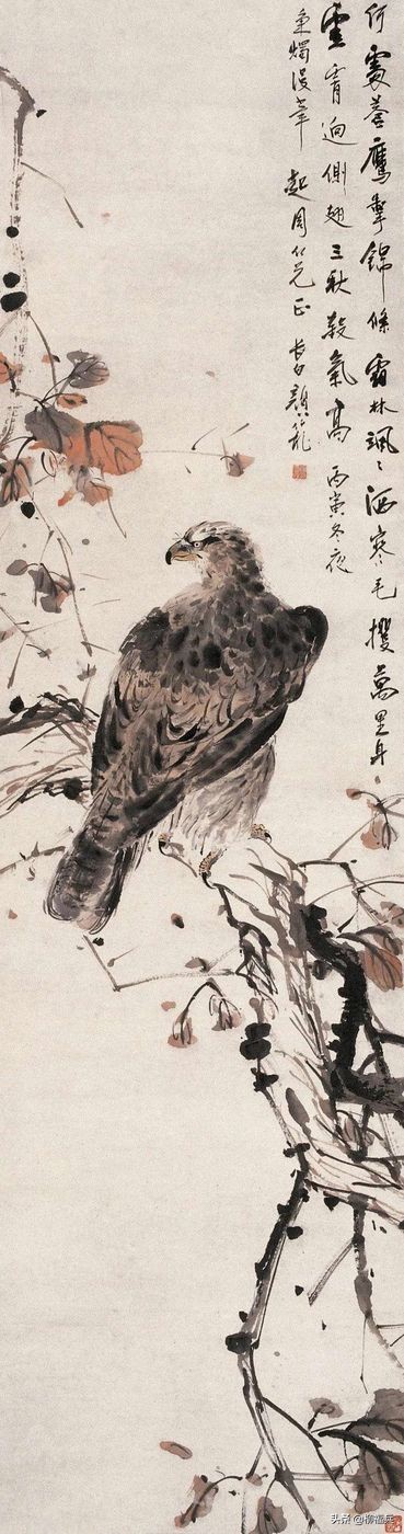 名家花鳥畫《蒼鷹圖》欣賞 名家花鳥畫《蒼鷹圖》欣賞