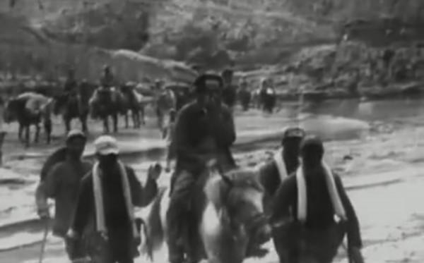 毛主席的小青馬,一直駝著主席度過最艱難的時期,後來又去了哪裡 毛主席的小青馬,一直駝著主席度過最艱難的時期,後來又去了哪裡