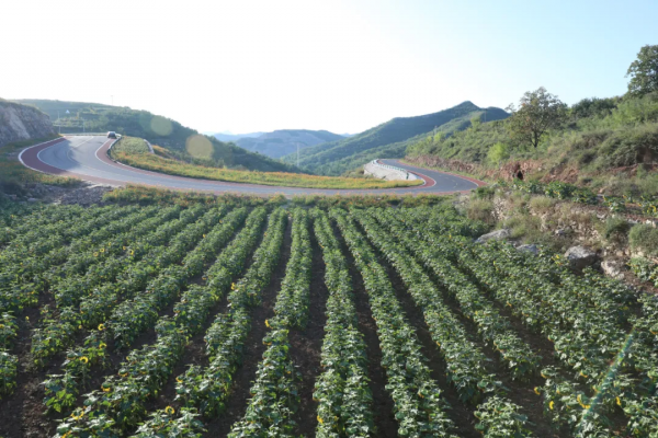 井陘，六連冠！