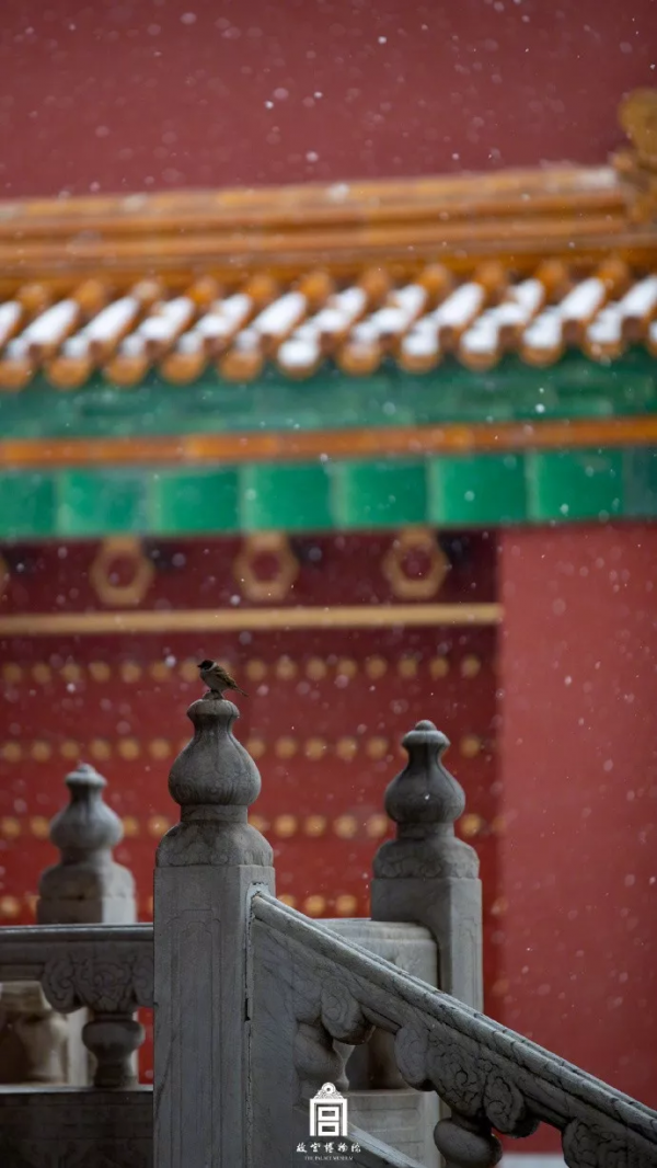 當故宮遇上今年第一場飄雪