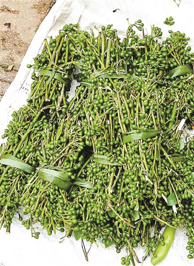 舌尖上的“妖氣”