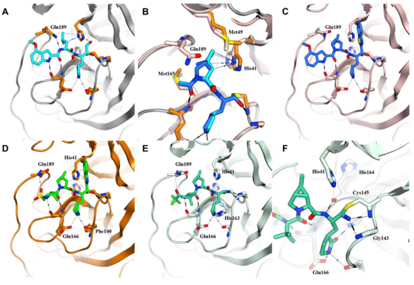 輝瑞新冠口服藥物的分子設計的研發故事