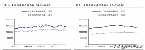 沉寂大半年的豬肉股正在轉暖，養殖業的基本面正在改善（附名單）