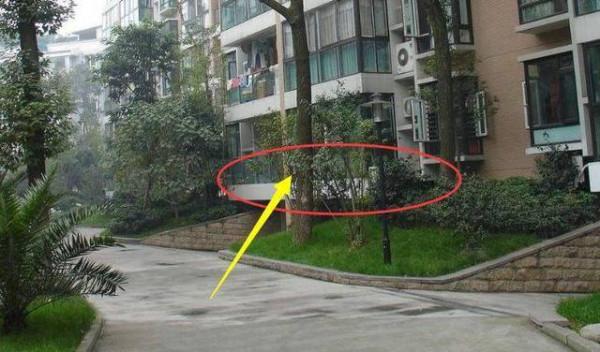 買一樓的人都很傻？資深售樓經理表示：有錢人都愛買一樓