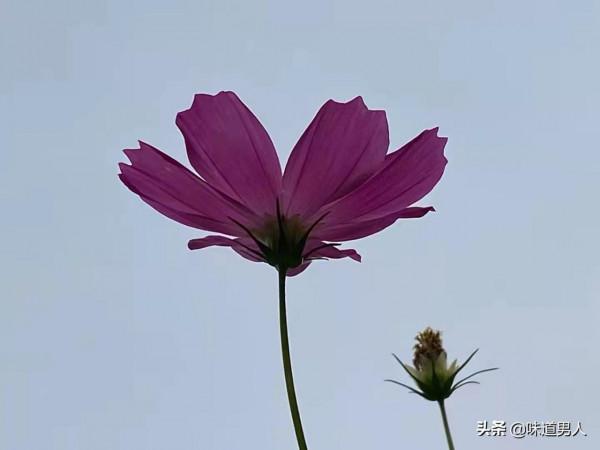 大道無為35:歸根,既是生命的本分,也是生命的反覆 大道無為35:歸根,既是生命的本分,也是生命的反覆