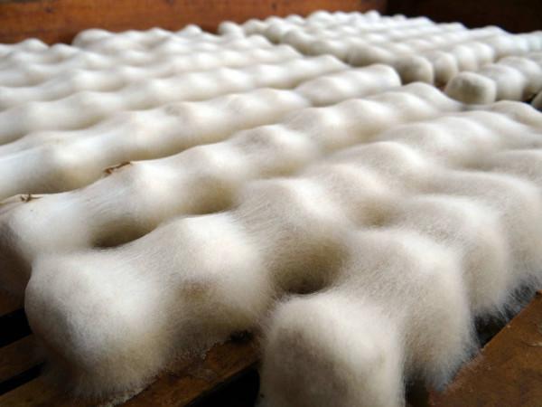 在安徽人家品味《舌尖上的中國》裡的美食