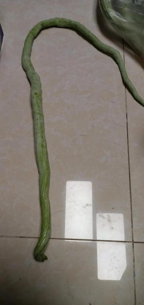 今天是週六 今天是週六