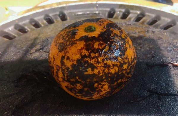 氣溫驟降，孩子感冒咳嗽勿亂用藥，推薦這4種食療方