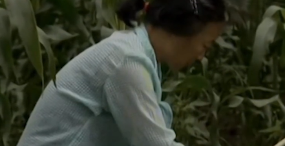 農婦連續十多年喝汽油吃260斤農藥，身體比常人健康，到底為何？