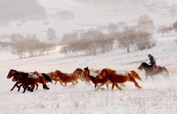 帶你去內蒙古看雪