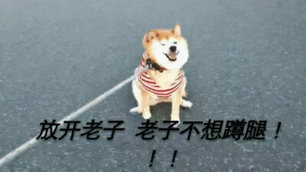 複合訓練和孤立訓練，哪一種健身效果更好？