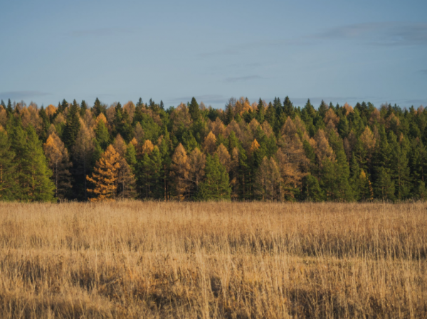 做人的底線，其實就是這4句話