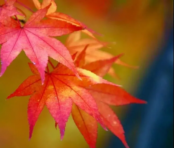 國內最值得一去的10個小眾旅行地，悠閒地呆上幾天，靜享美好