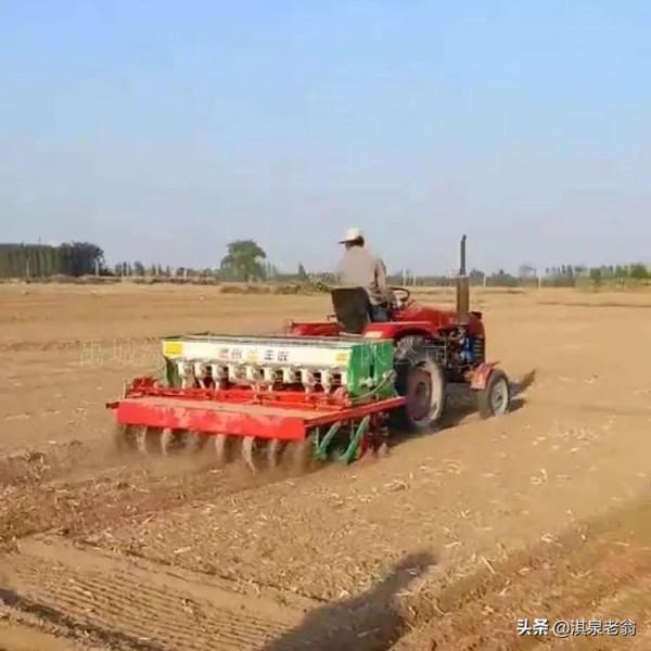 改變小麥種植 的一些習慣做法,是小麥再高產的重要舉措 改變小麥種植 的一些習慣做法,是小麥再高產的重要舉措
