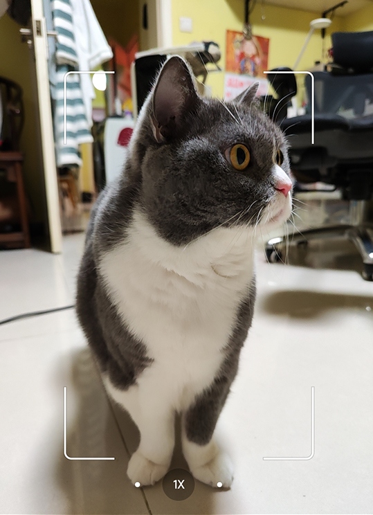 高畫質與快速對焦 小米12 Pro影像系統試用體驗