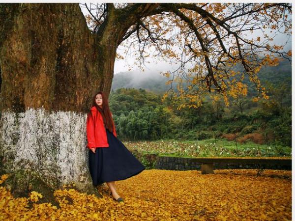 最好的教養,就是接納生活的不完美,範文:《人生總會有缺憾》 最好的教養,就是接納生活的不完美,範文:《人生總會有缺憾》