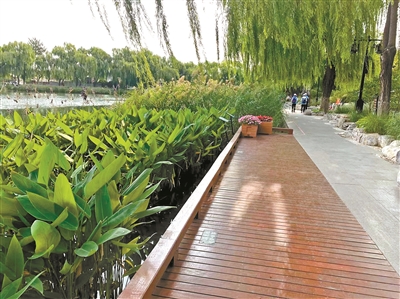 沿著西海走回家