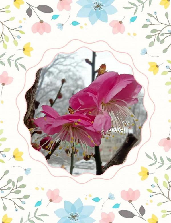 喝火令·紀念毛主席誕辰128週年