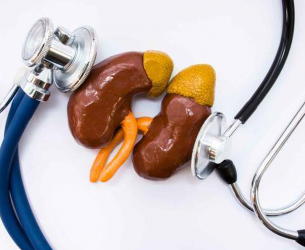 腎病怎麼避免成為尿毒症？做好2個指標檢測，早發現早治療很重要