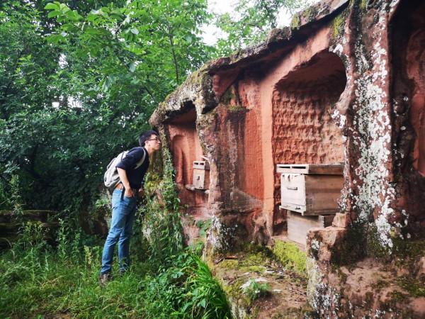 蕭易：川渝石窟背後那些人的故事，更令人著迷