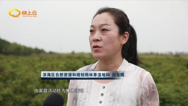 濰坊濱海：白鷺翩躚生態美