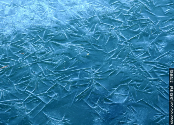 頻上熱搜！地鐵直達的冬日絕美景色！一定要來打卡！