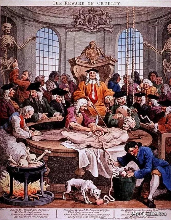 皮囊之內——人體解剖學的前世今生