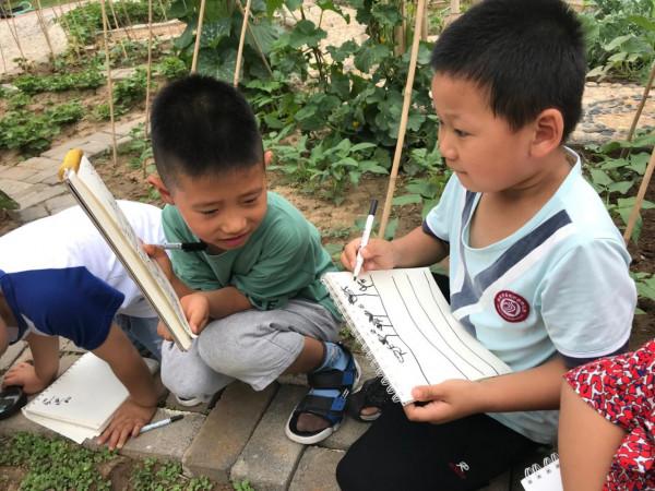 壽光聖城中學幼兒園：哪怕是一株狗尾草都是一個課程資源