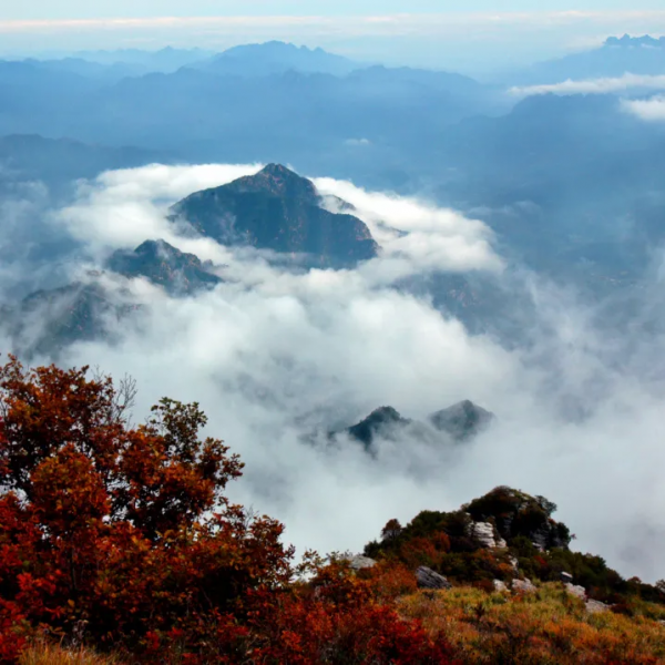 經典一起學 |《山行》:秋天的第一片紅葉,你看了嗎? 經典一起學 |《山行》:秋天的第一片紅葉,你看了嗎?