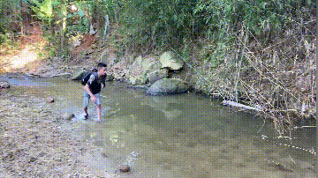 河中飄著塑膠瓶,裡面裝著1只貓,男子將貓救了起來:為了拍影片 河中飄著塑膠瓶,裡面裝著1只貓,男子將貓救了起來:為了拍影片