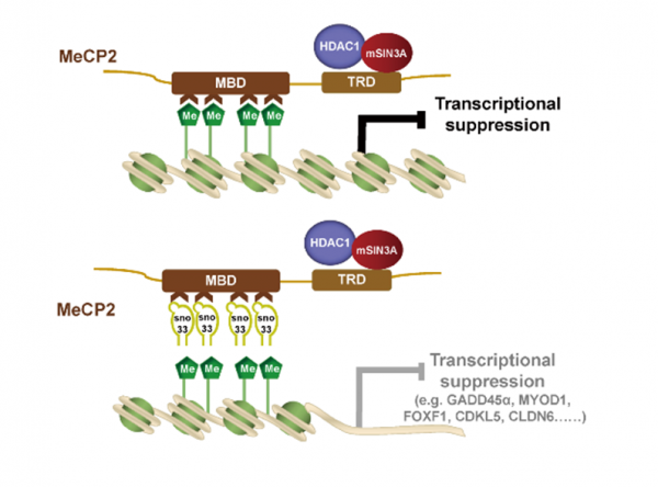 科研速遞 | 復旦上醫2022年1月科研成果一覽